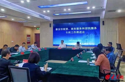 泰安市租賃、商務(wù)服務(wù)和居民服務(wù)專班工作推進(jìn)會(huì)召開 聚焦軟件開發(fā)與應(yīng)用